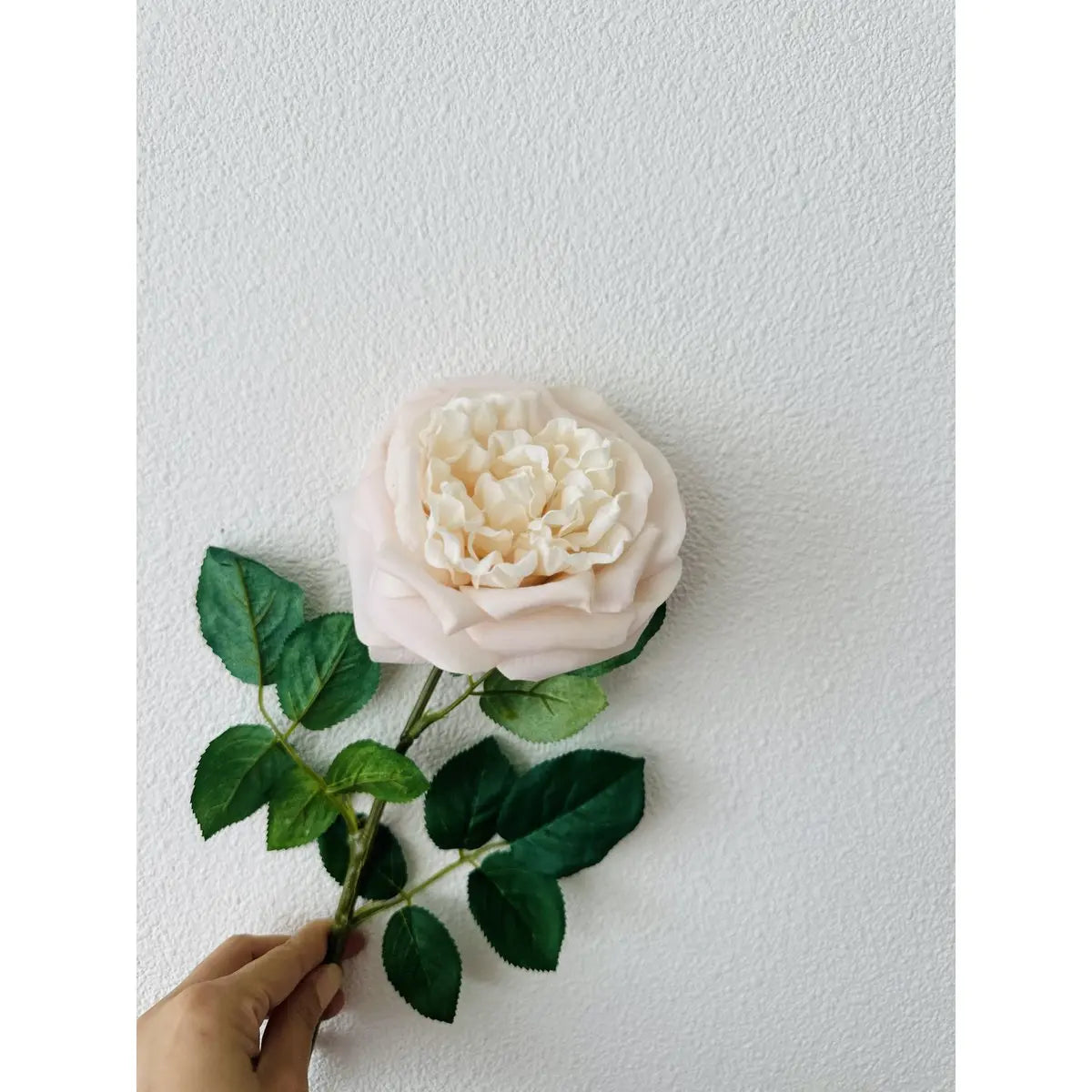 QMF Touch Rose 65cm Hellrosa 2ST QMF Trading