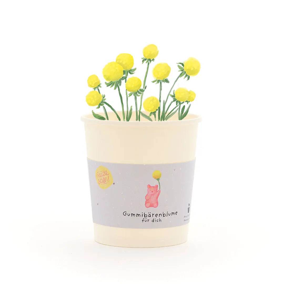 Gummibärenblume - Becher Die Stadtgärtner