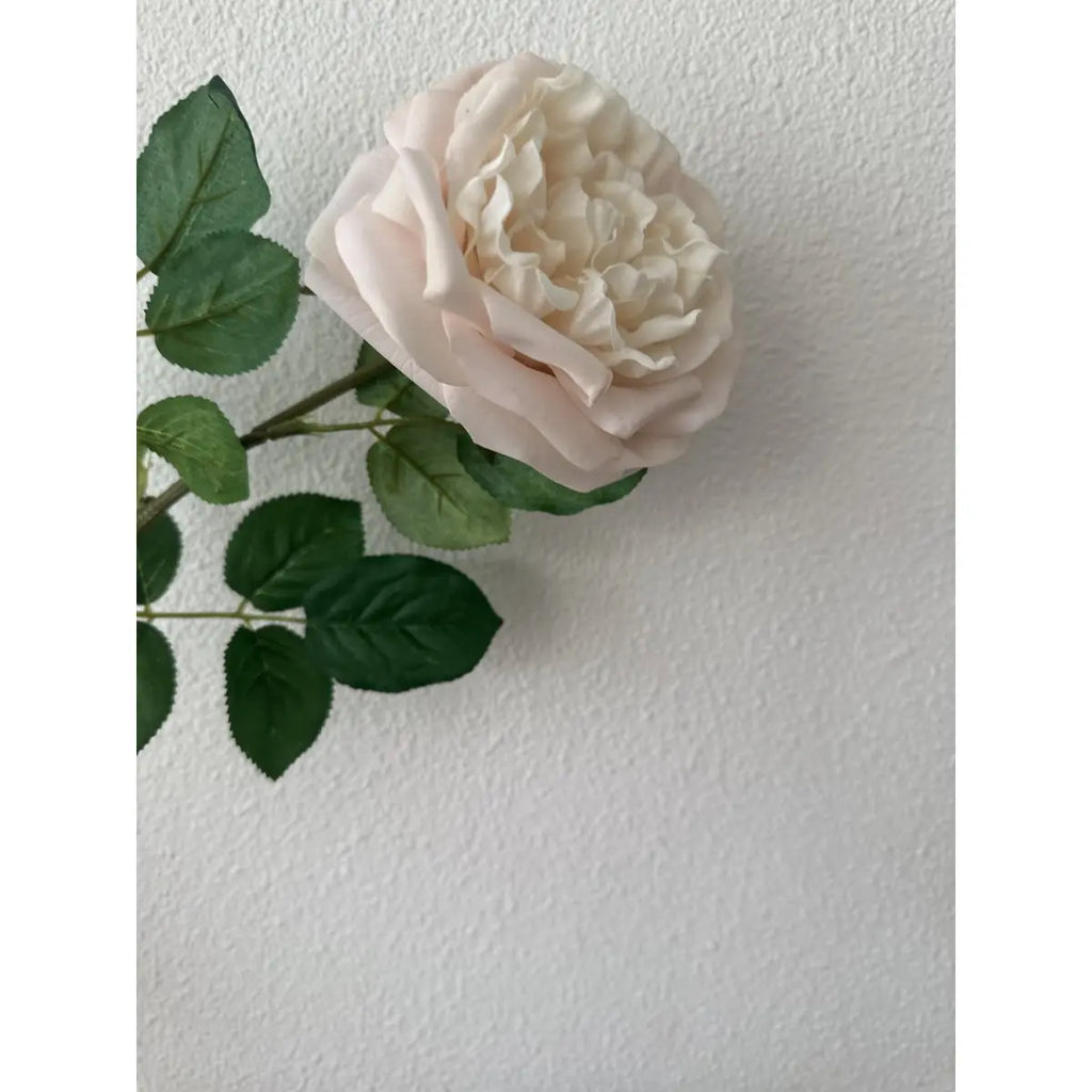 QMF Touch Rose 65cm Hellrosa 2ST QMF Trading