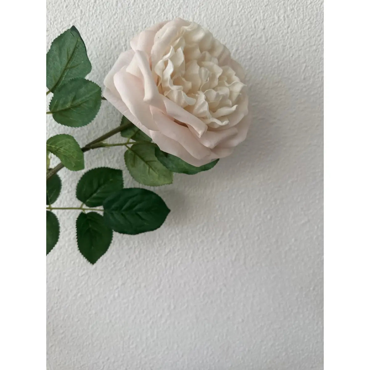 QMF Touch Rose 65cm Hellrosa 2ST QMF Trading