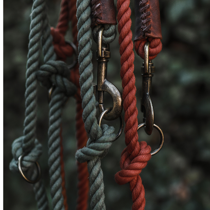 Verstellbare Hundeleine Rostrot – Twisted Cotton Bio-Baumwolle, 2,5 m