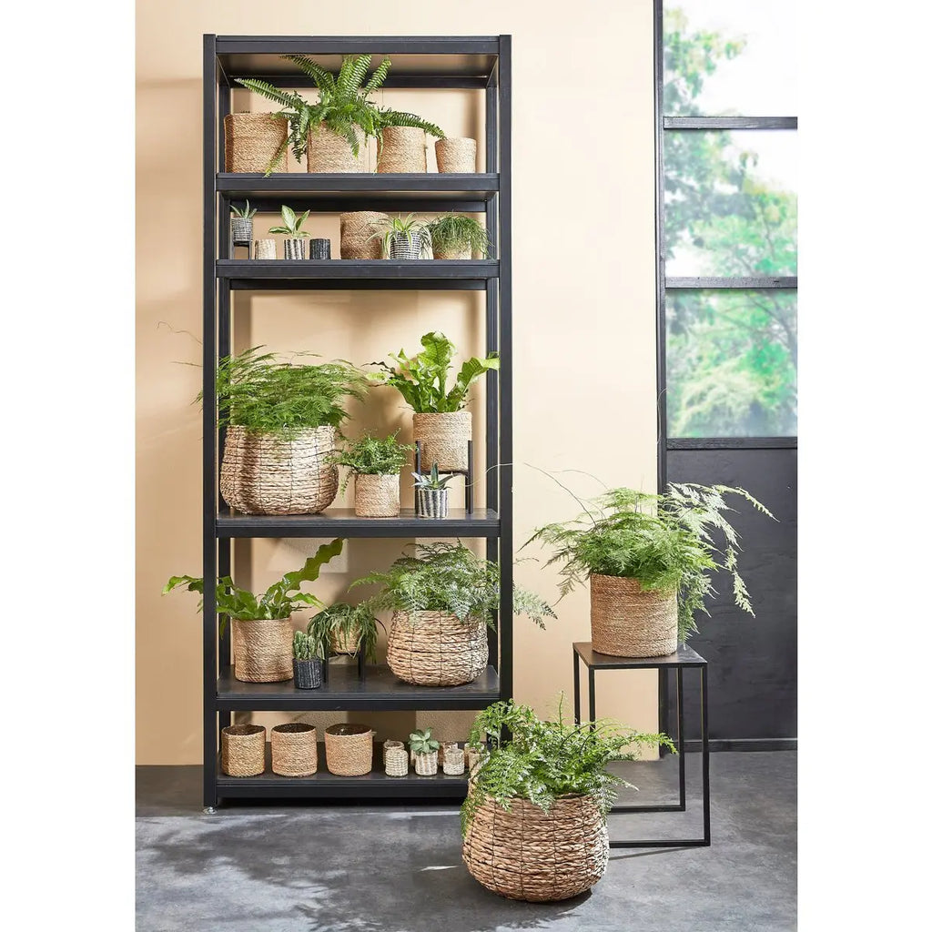 Pflanzkorb-Set Atlantic Hellbraun | 2er Set Pflanzkörbe  Ø 26 und  Ø 30 cm - Pille Gartenwelt