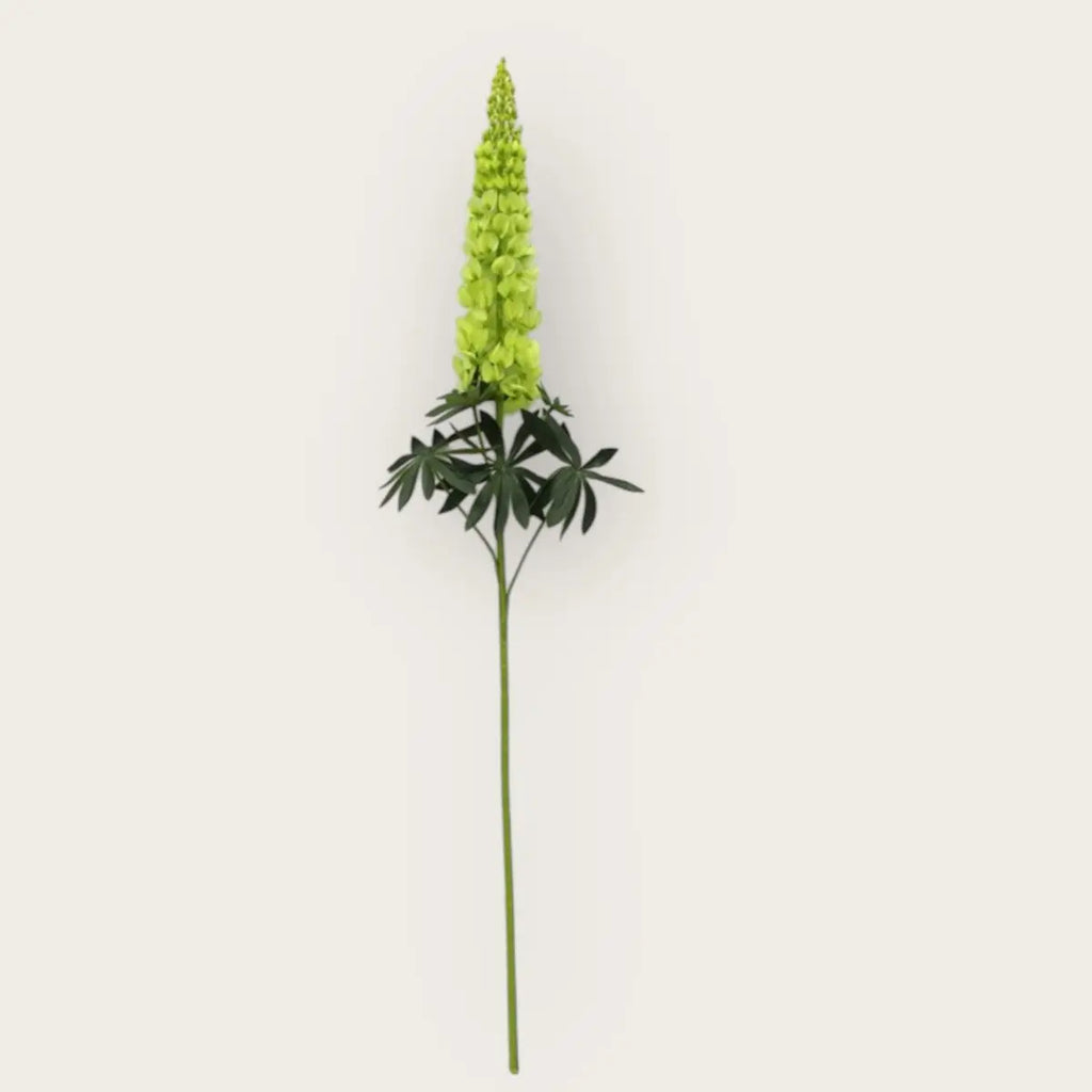 Lupinus Micranthus Gemüse | Kunstblume aus Seide | Länge 105cm QMF Trading