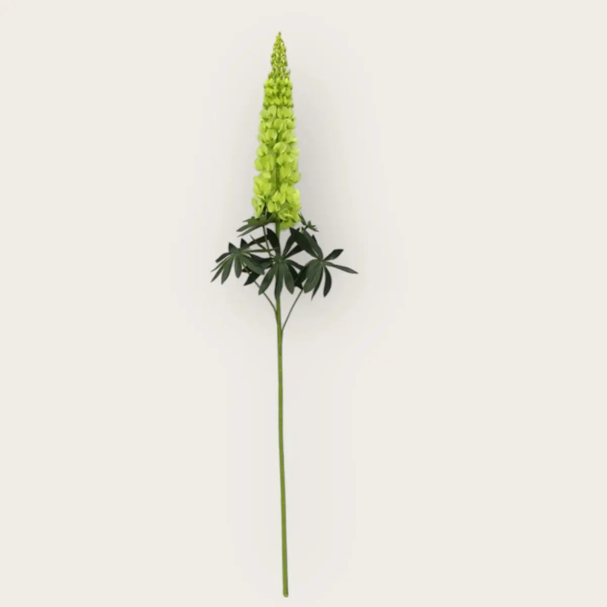 Lupinus Micranthus Gemüse | Kunstblume aus Seide | Länge 105cm QMF Trading