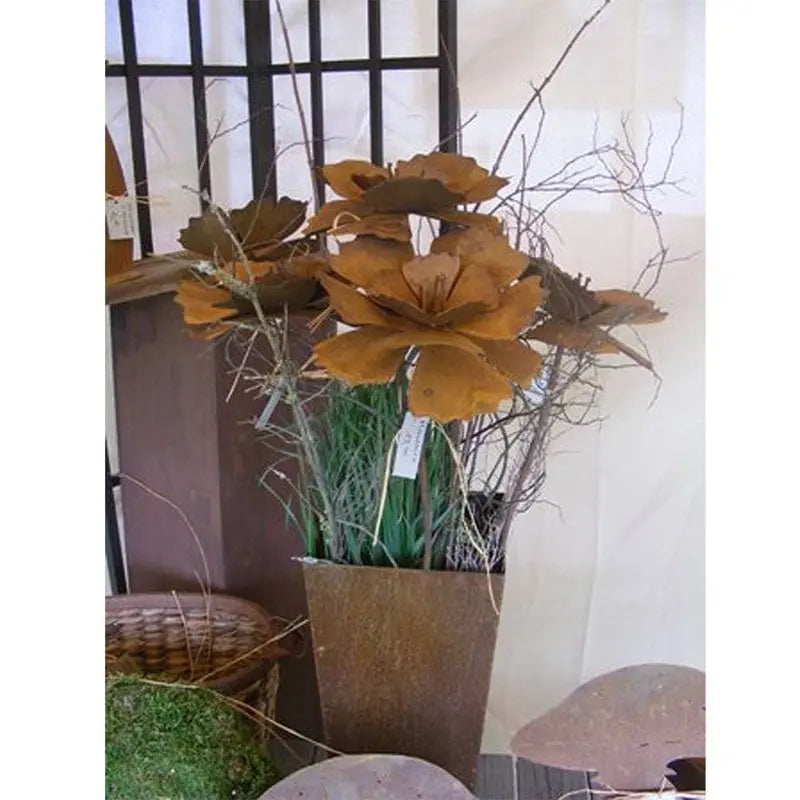 zwerg granatapfel bonsai Zwerg Granatapfel Bonsai Samen mit hoher Keimrate main image 1