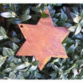 Edelrost Stern Deko – zum Hängen oder als Gartenstecker 10 cm - Pille Gartenwelt