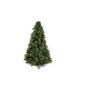 Nobilis-Weihnachtsbaum – ↕50 cm MEERgroothandel Planten