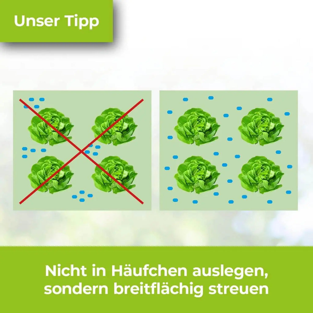Protect MaXX Schneckenkorn FE 500 g für ca 130 m²