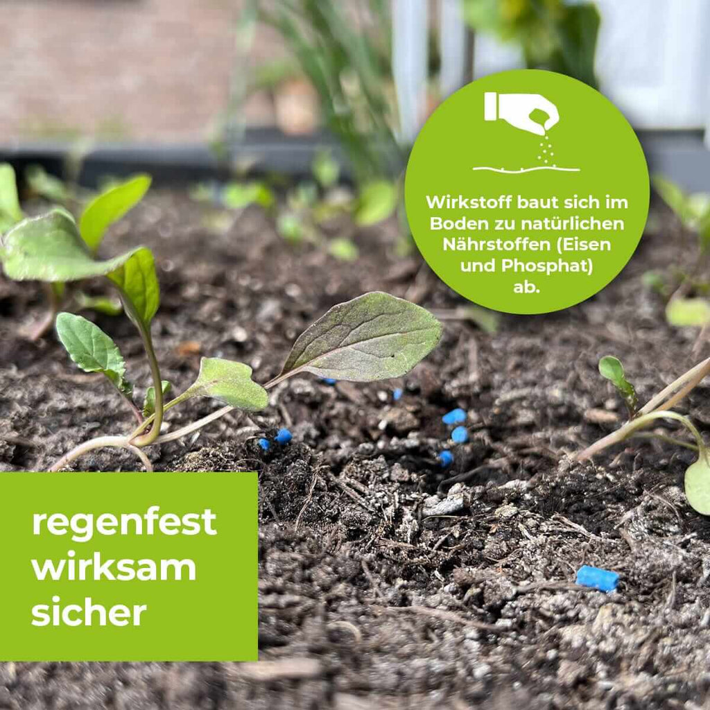Protect MaXX Schneckenkorn FE 1,2 kg fur ca.315 m²