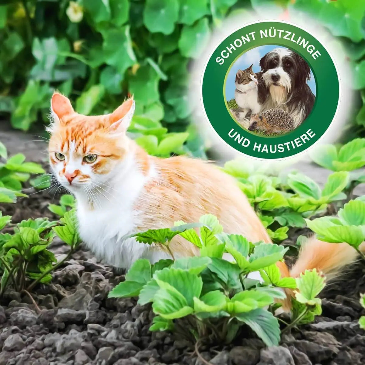 Protect MaXX Schneckenkorn FE 1,2 kg fur ca.315 m²