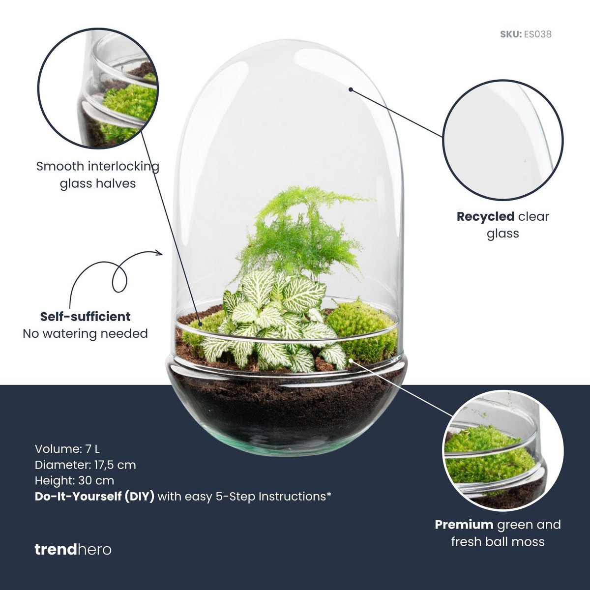 Terrarium-Bausatz – Ei XL – Flaschengarten – ↑ 30 cm 17 cm  Ø