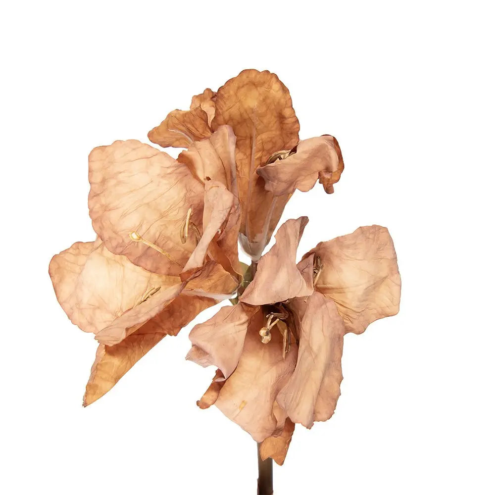 Künstliche Blume 65 cm brauner Kunststoff Clayre & Eef.