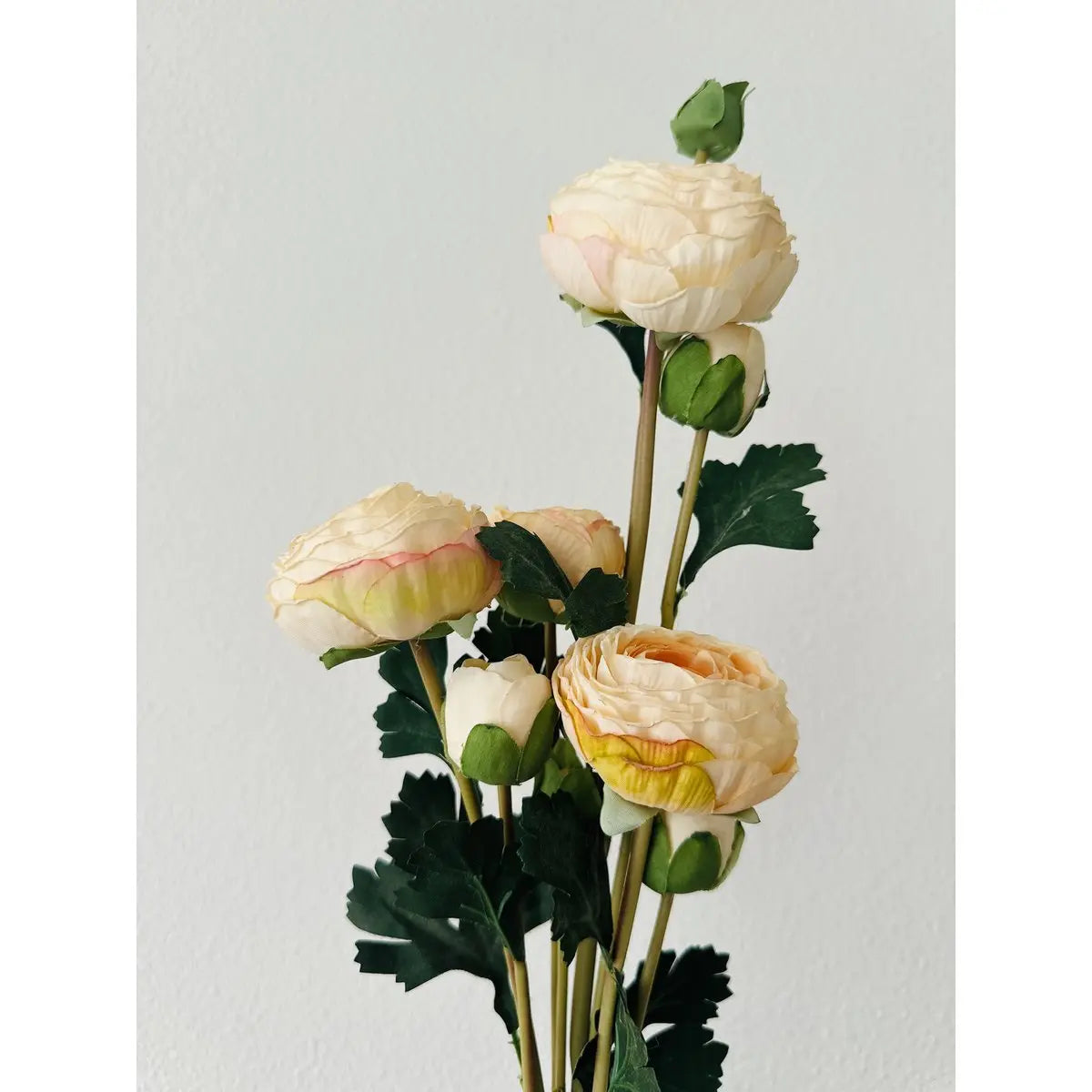 9-stieliger Glimmer-Dekorations-Ranunkel-Kunstblumenstrauß / Länge 55 cm / Champagner QMF Trading