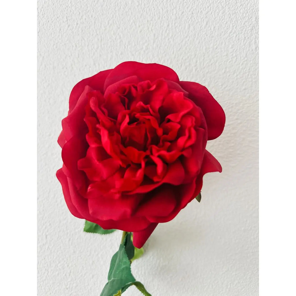 QMF Hand Touch Rose 65cm 1ST rot QMF Trading