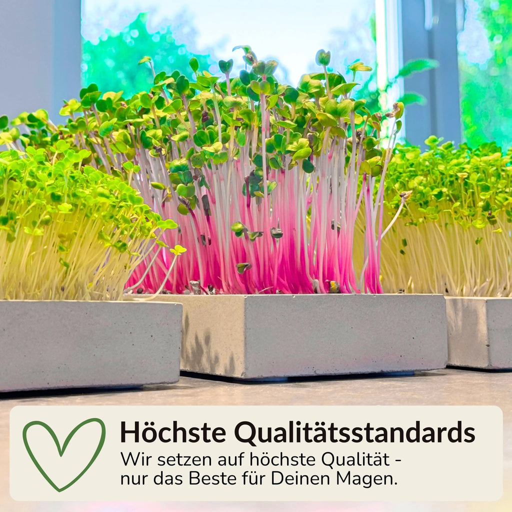 Microgreens Mini-Set