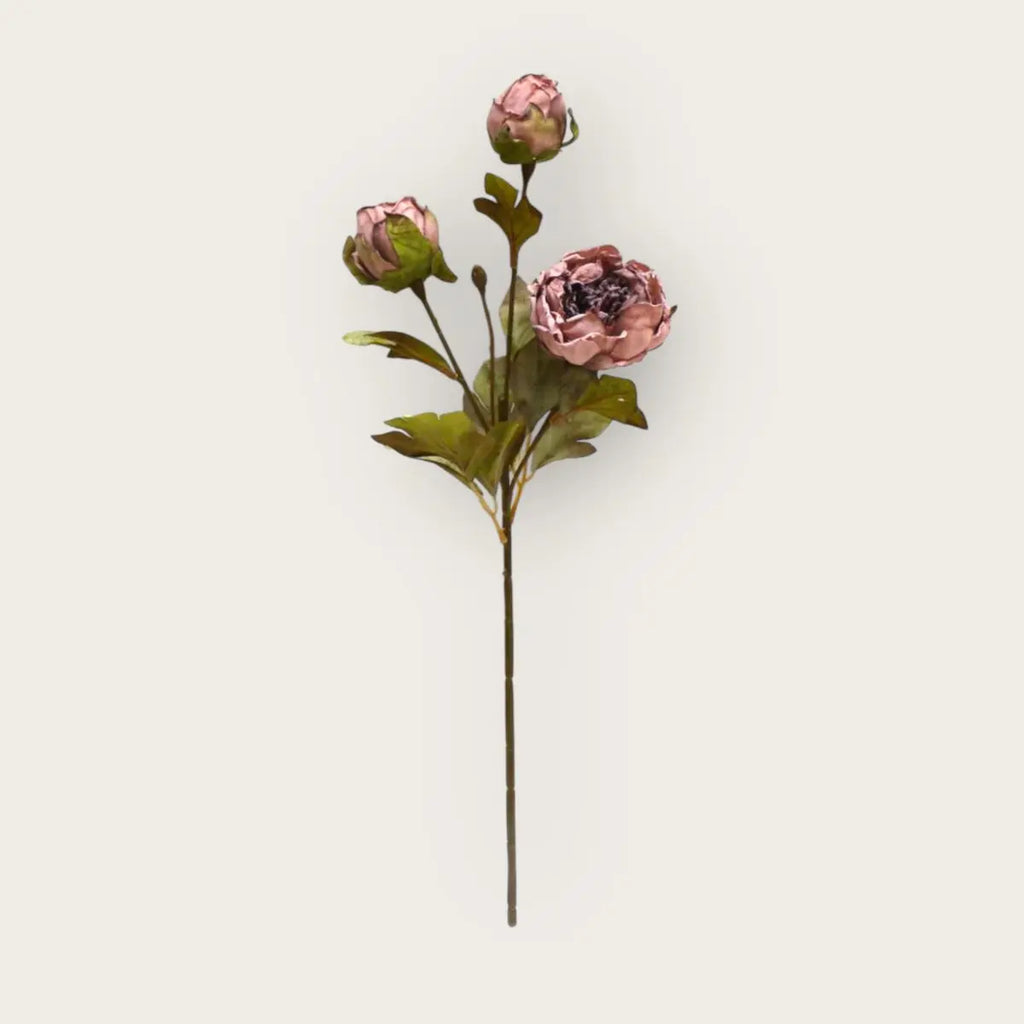 Herbstserie 3 Köpfe Pfingstrose Braun | Kunstblume aus Seide | Länge 53cm 1Stk QMF Trading