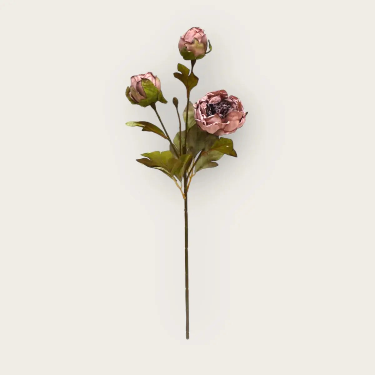 Herbstserie 3 Köpfe Pfingstrose Braun | Kunstblume aus Seide | Länge 53cm 1Stk QMF Trading