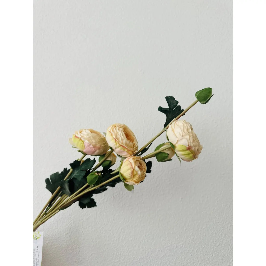Scabiosa | künstliche Blume | Länge 55cm weiß QMF Trading