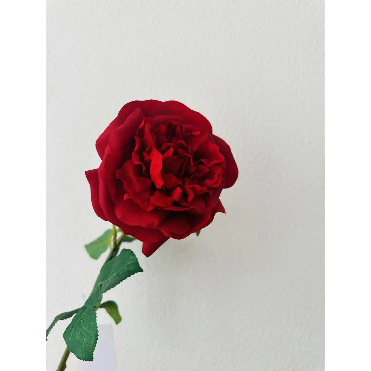QMF Hand Touch Rose 65cm 1ST rot QMF Trading