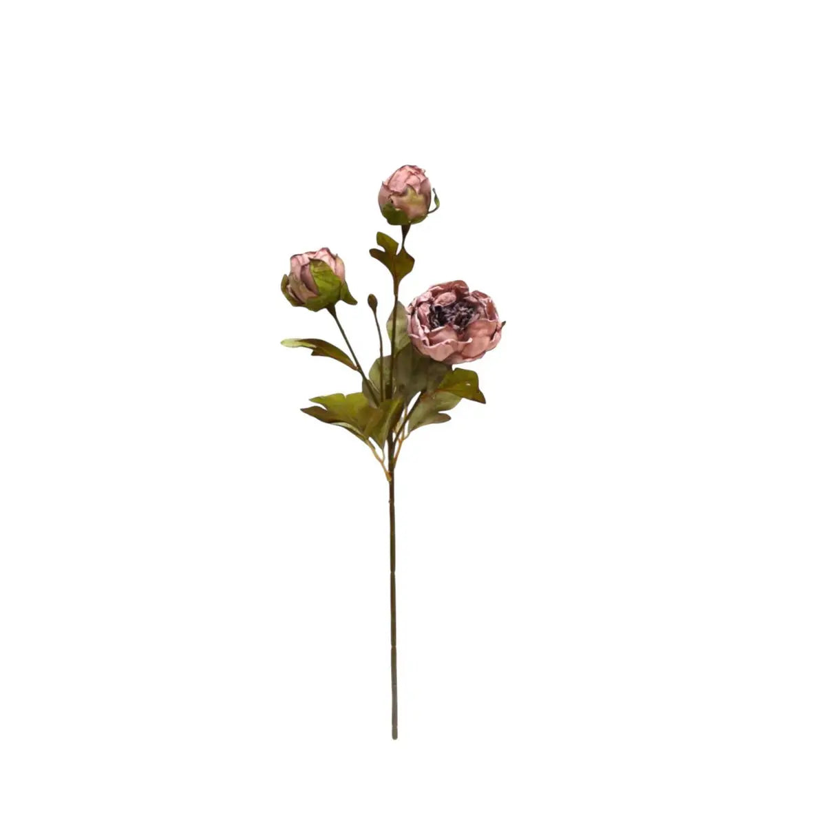 Herbstserie 3 Köpfe Pfingstrose Braun | Kunstblume aus Seide | Länge 53cm 1Stk QMF Trading