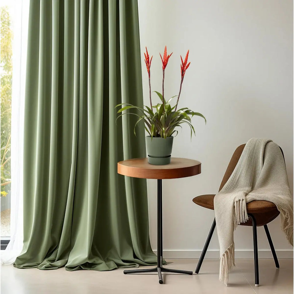 Vriesea Bromelie Ø12 cm ca. 55 cm tropisch pflegeleicht luftreinigend - Pille Gartenwelt