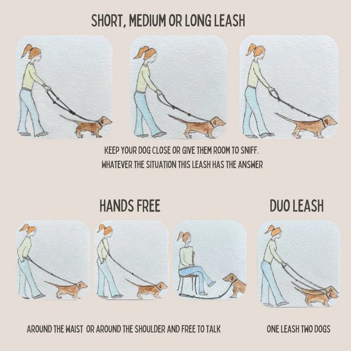 Verstellbare Hundeleine aus gedrehter Baumwolle – Waldgrün | 2,50 m