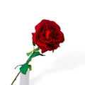 QMF Hand Touch Rose 65cm 1ST rot QMF Trading