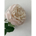QMF Touch Rose 65cm Hellrosa 2ST QMF Trading