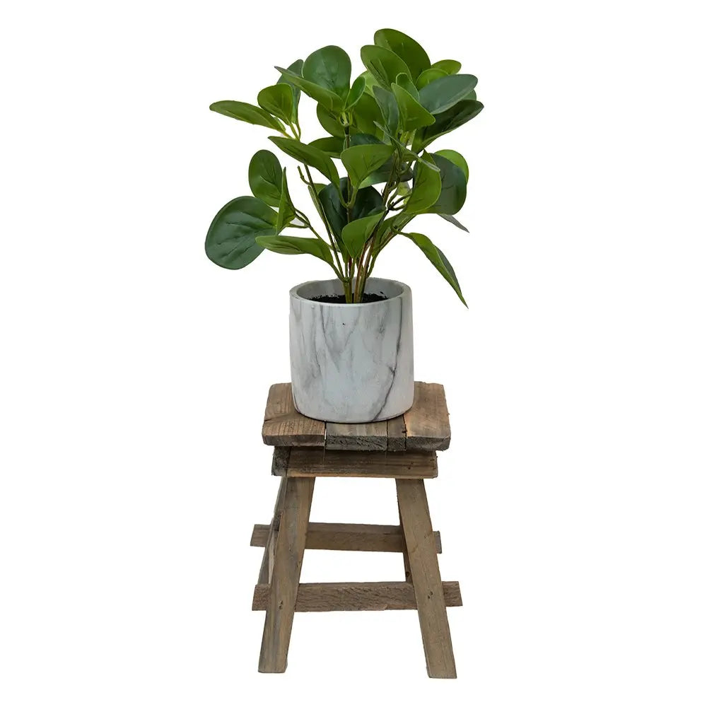 Pflanzentisch 15x15x21 cm Clayre & Eef.