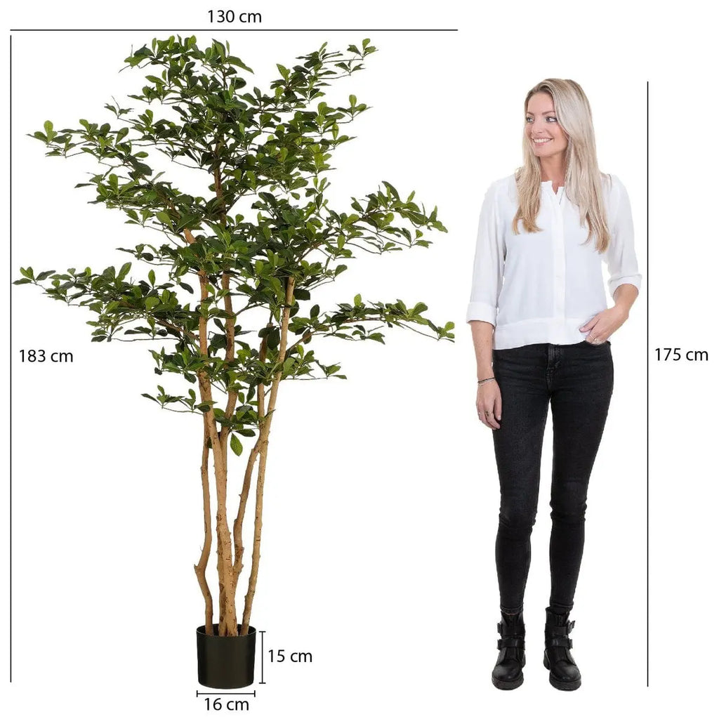XL Kunst-Olivenbaum Mica Decorations – 183 cm, Ø130 cm, pflegefrei, im Topf Mica Decorations