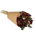 Trockenblumen - Feldstrauß groß - Scharlachrot - 8 Sträuße - ↕60cm - Pille Gartenwelt