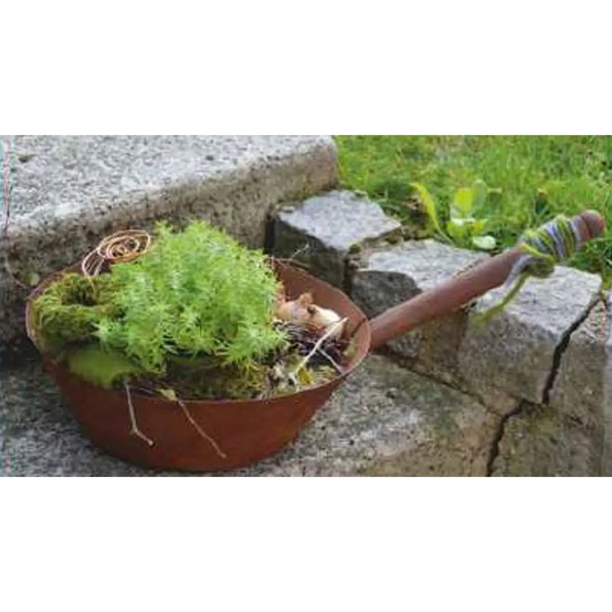 Edelrost Deko Pfanne zum Bepflanzen – Shabby Chic Pflanzschale 50 cm - Pille Gartenwelt