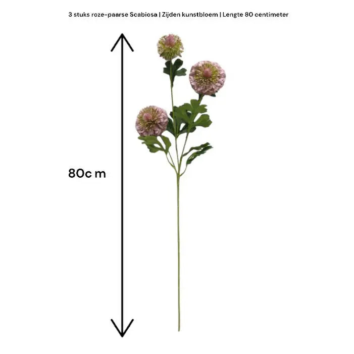 Scabiosa | Kunstblume aus Seide | Länge 80 cm, 2 Stück weiß QMF Trading