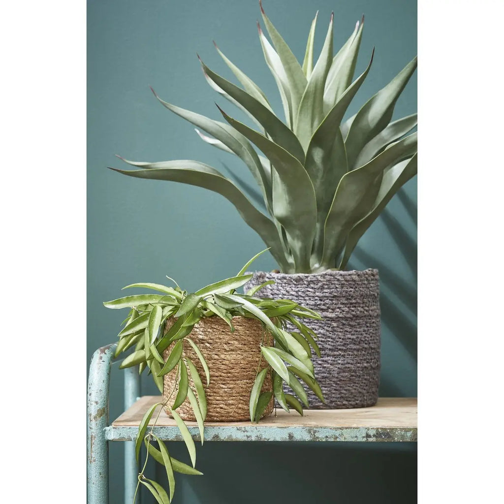 Pflanzkorb-Set Atlantic Hellbraun | 2er Set Pflanzkörbe  Ø 26 und  Ø 30 cm - Pille Gartenwelt