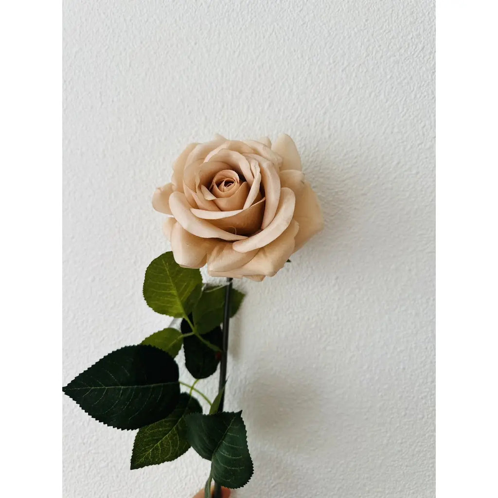 2 x QMF Hand Touch Rose 72cm Champagner 2ST QMF Trading