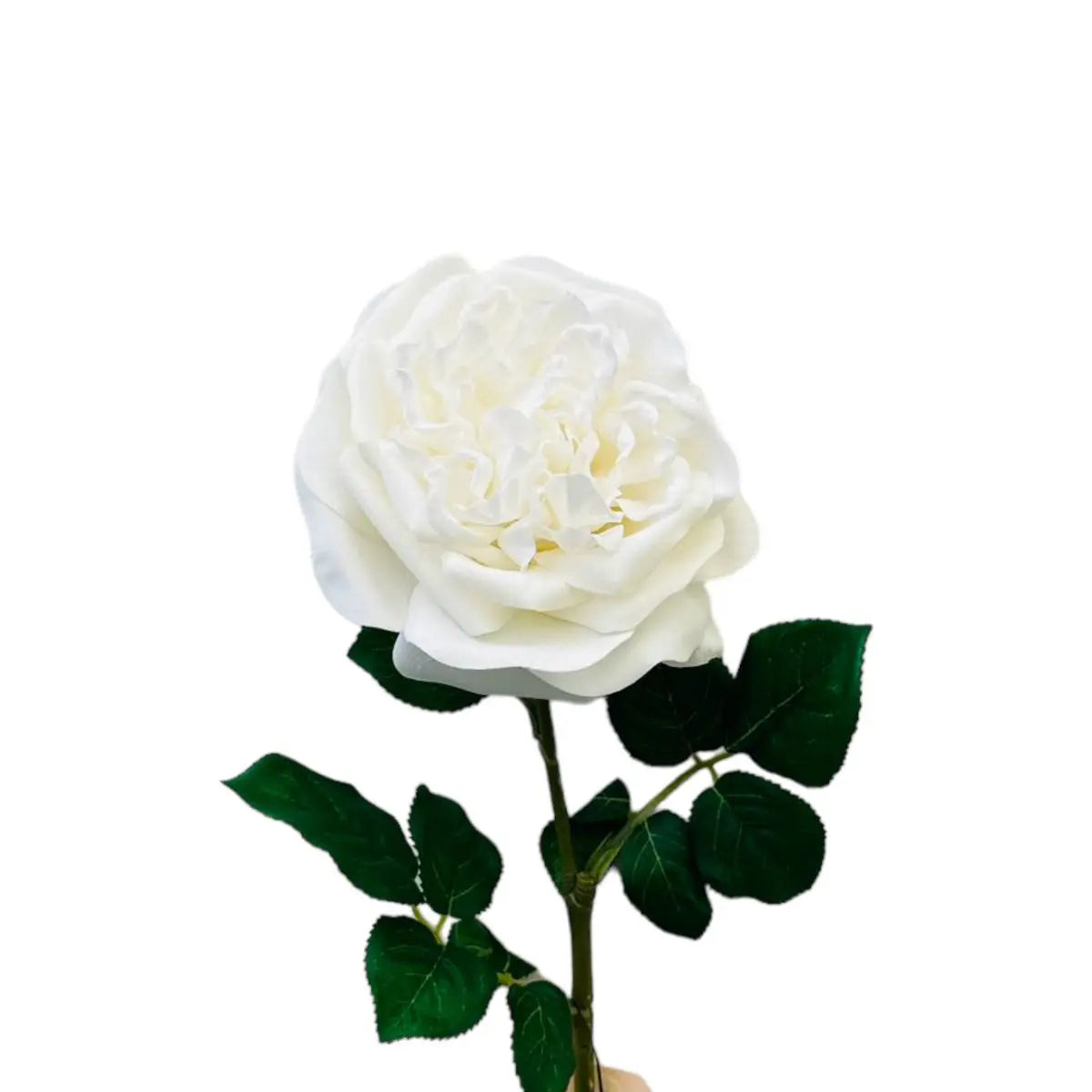 QMF Hand Touch Rose 65 cm MIT 2 STÜCK QMF Trading