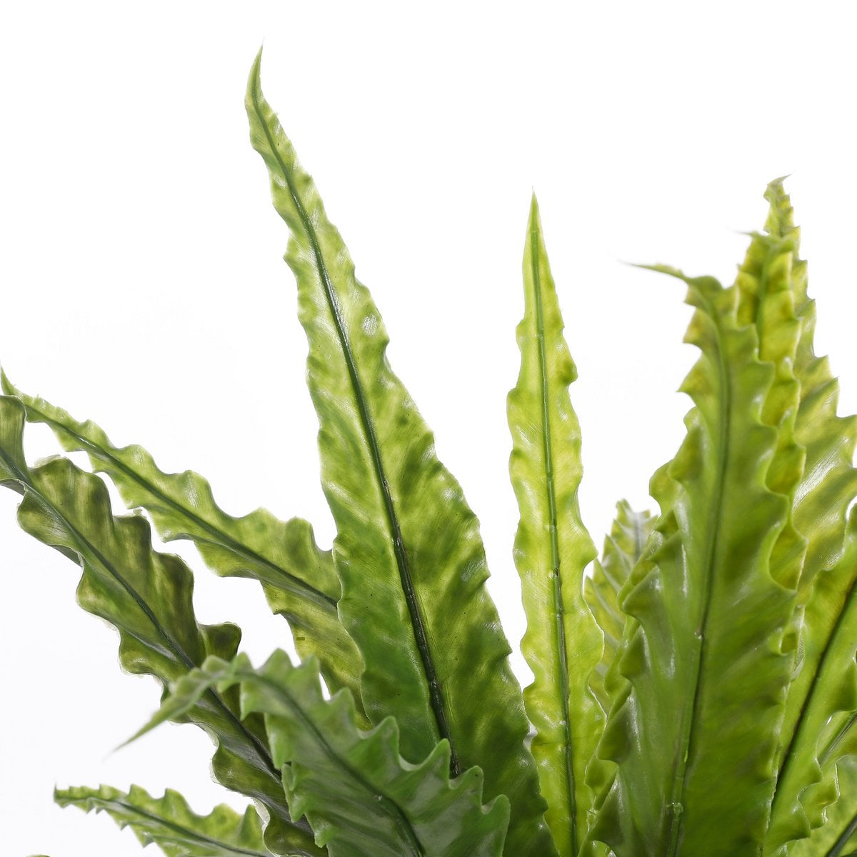 Künstliche Pflanze Asplenium Green Nestfarn 75 cm Durchmesser