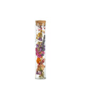 Droogbloemen - Wish Bottle Medium - Multi - 6 Stück - ↕15cm MEERgroothandel Planten