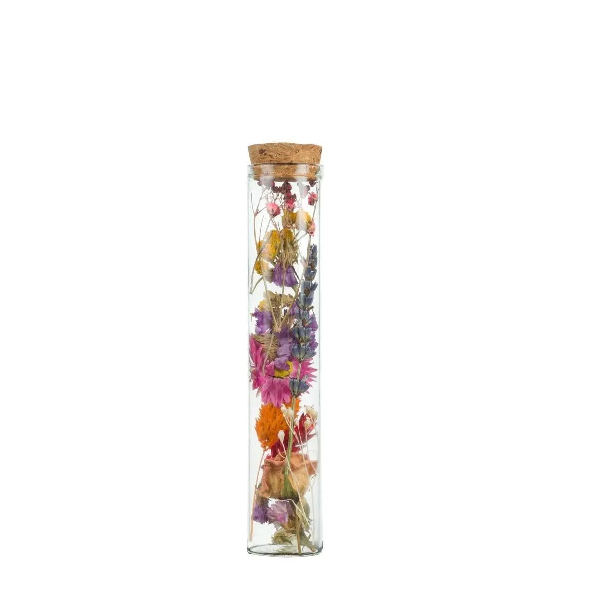 Droogbloemen - Wish Bottle Medium - Multi - 6 Stück - ↕15cm MEERgroothandel Planten
