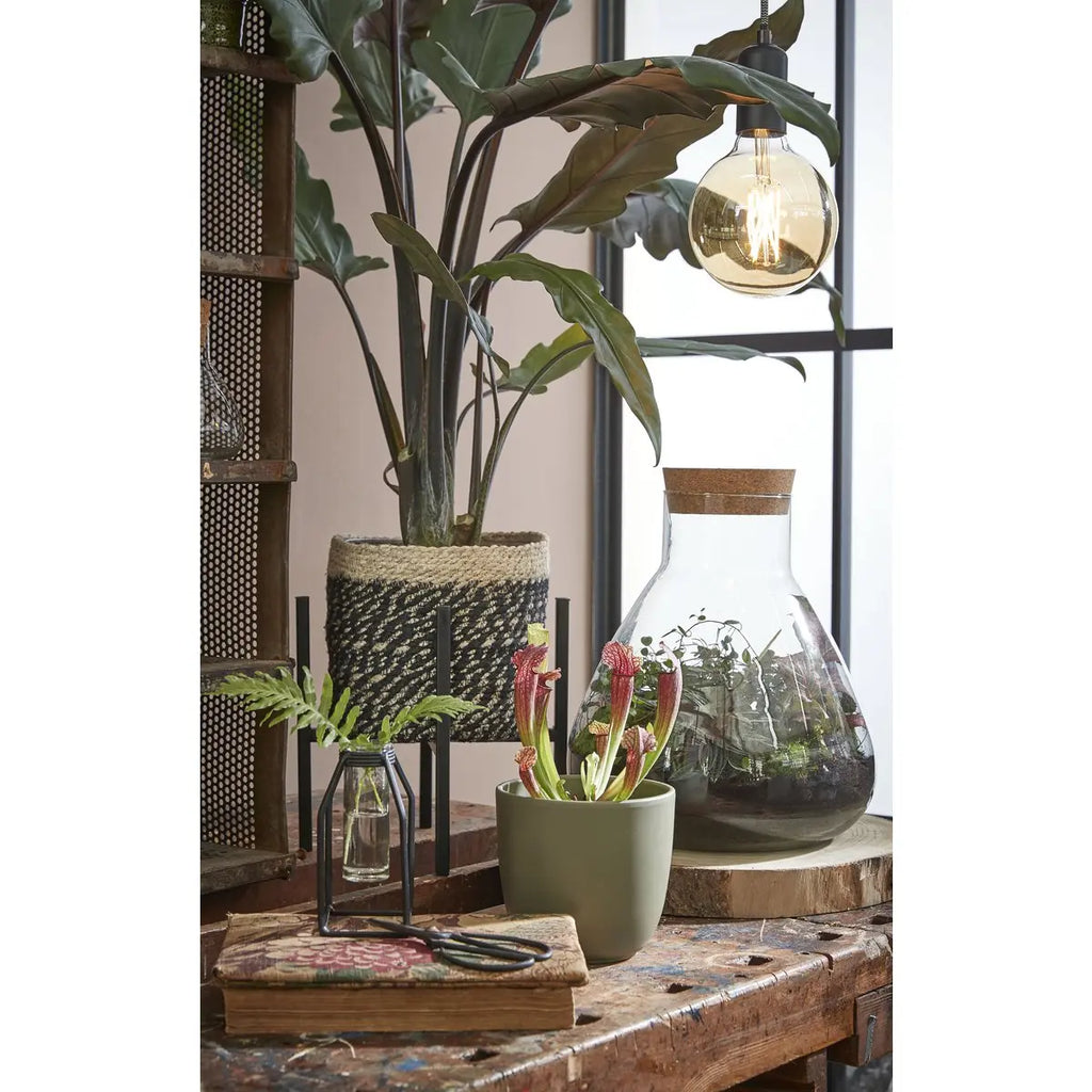 Emily Glasvorratstopf mit Korkdeckel 32 cm – recyceltes Glas von Mica - Pille Gartenwelt