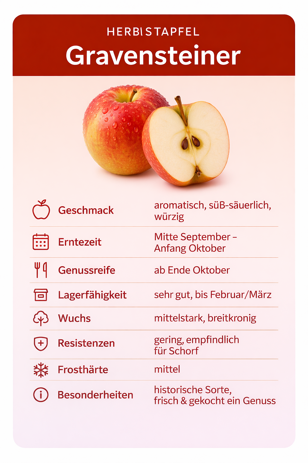 Herbstapfel Gravensteiner Apfelbaum Busch kleinbleibend saftig alte Sorte 80-120 cm