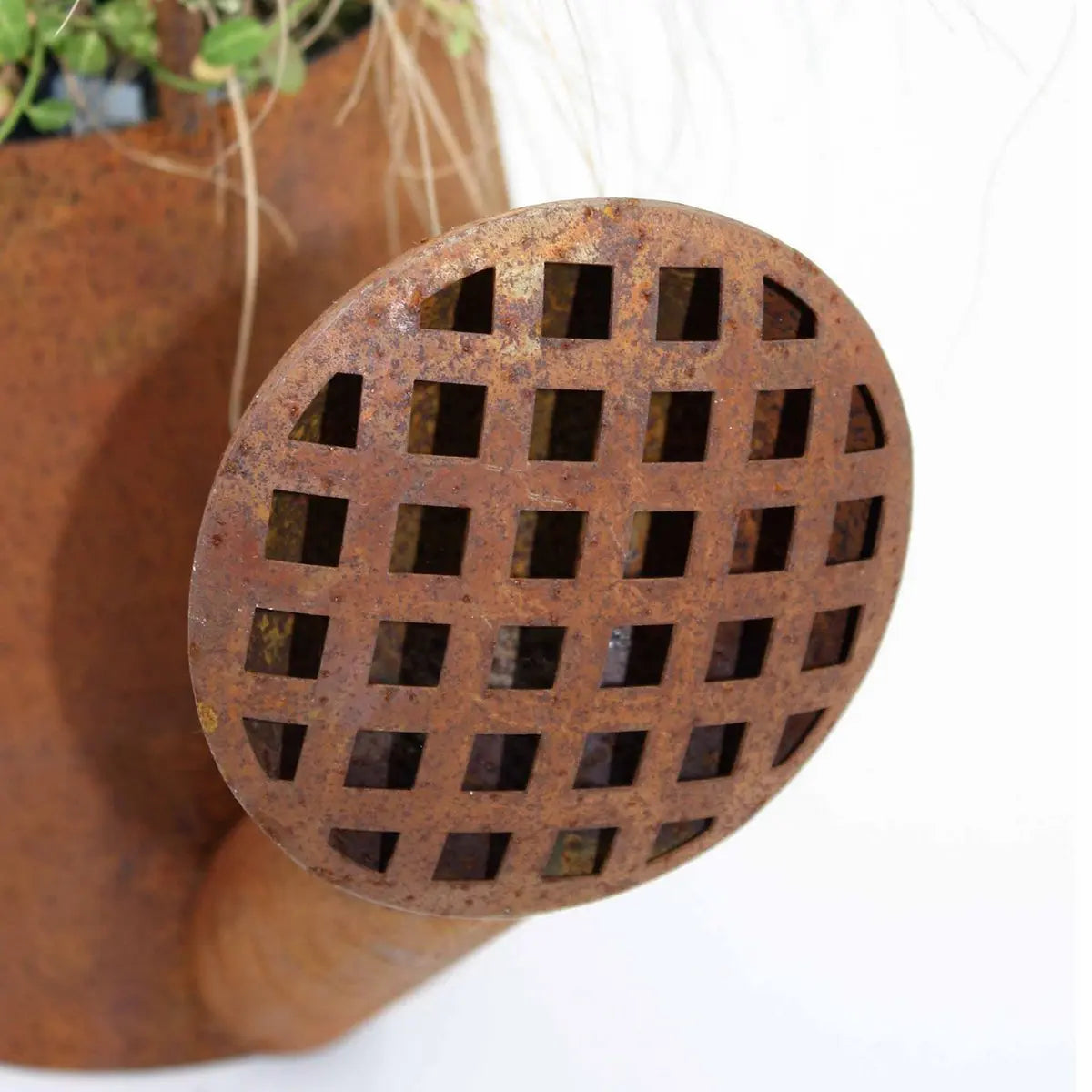 3D Edelrost Gießkanne zum Bepflanzen 40 cm Metall Pflanztopf - Pille Gartenwelt