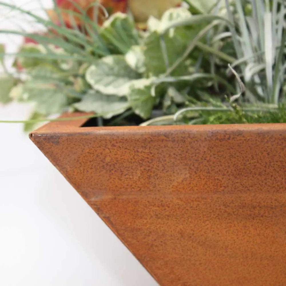 Edelrost Pflanzschale 40×40 oder 50×50 cm – 15 cm tief, mit/ohne Kugeln - Pille Gartenwelt