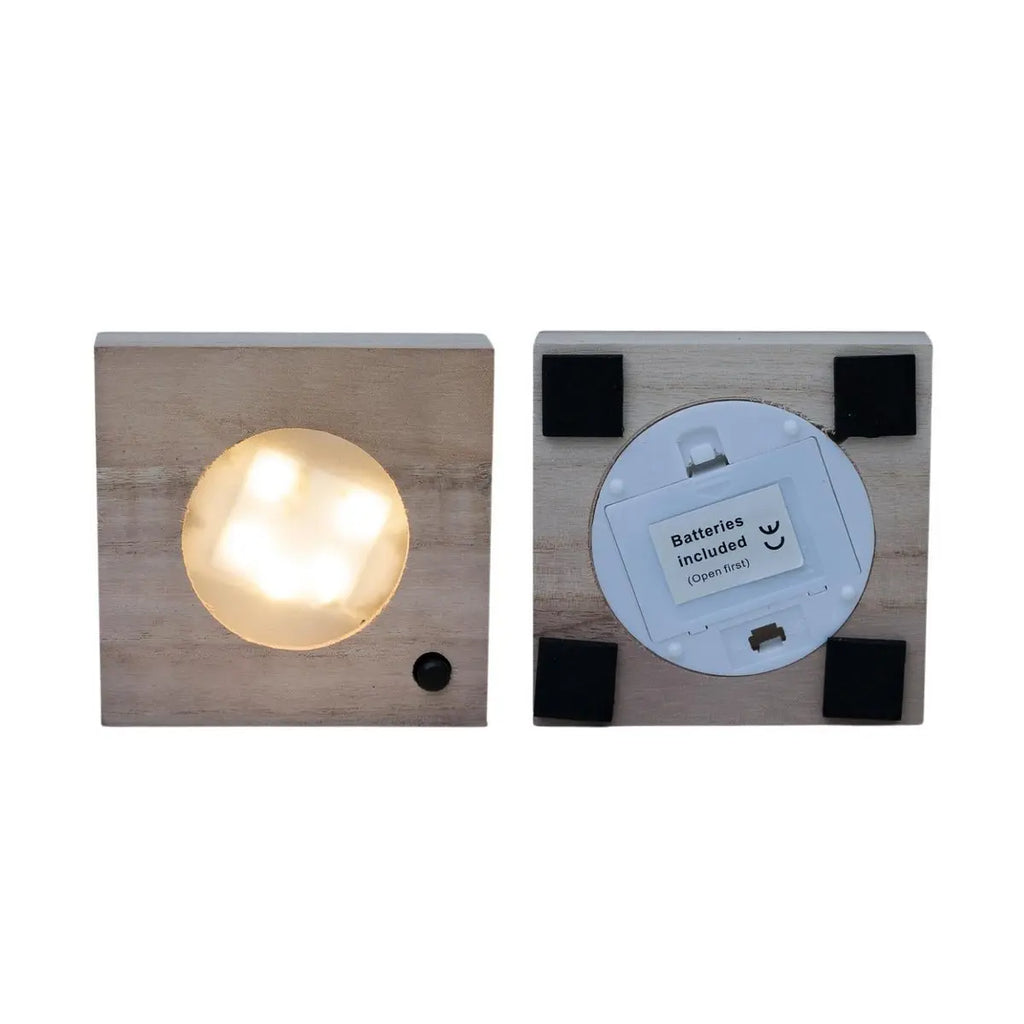 Clusia in Samoa -Glas mit LED -Beleuchtung - Ø4cm - ↕10 cm MEERgroothandel Planten