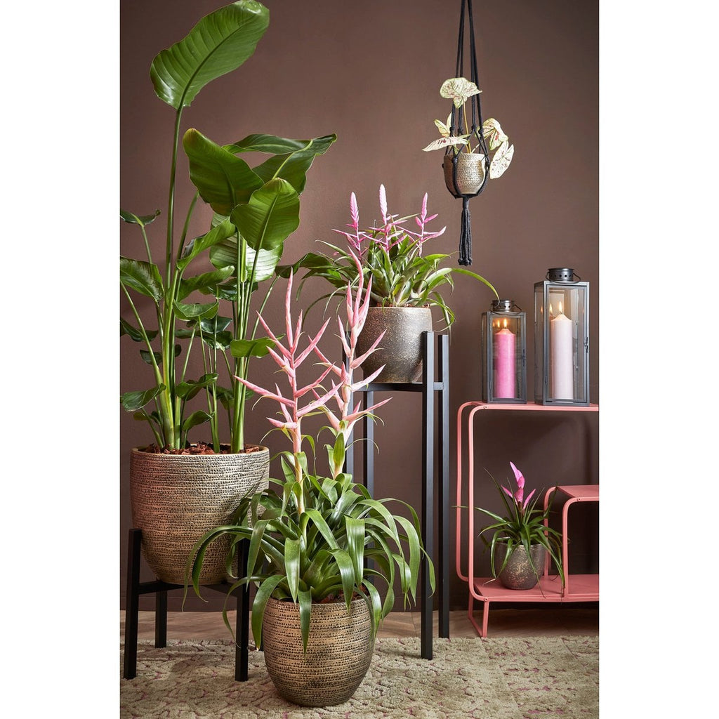Moderner Pflanzenständer von Mica Decorations in Schwarz