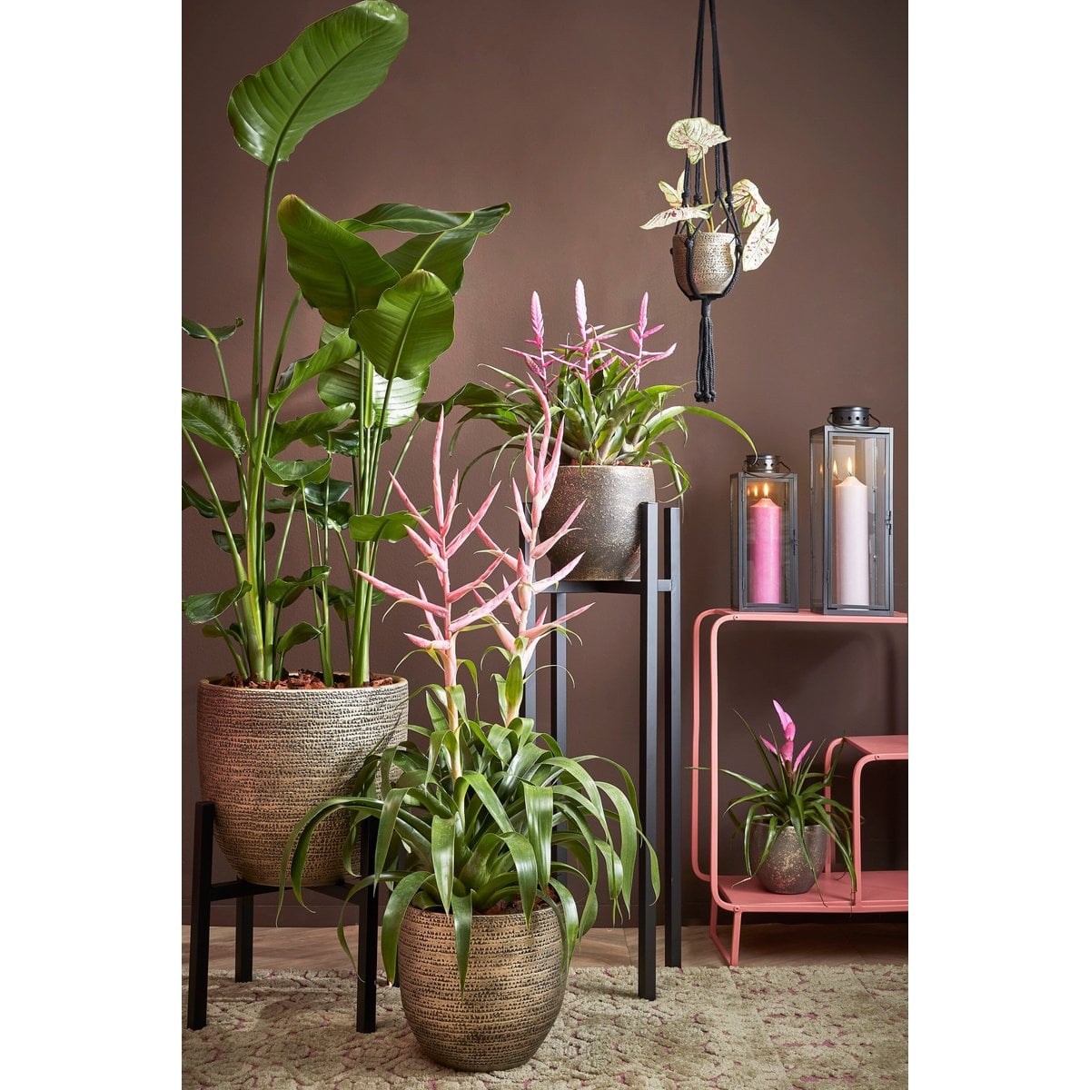 Moderner Pflanzenständer von Mica Decorations in Schwarz