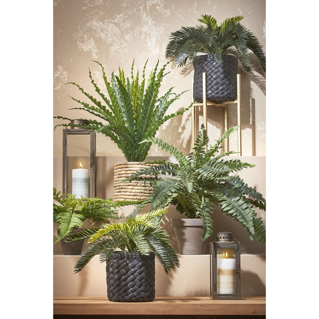 Künstliche Pflanze Asplenium Green Nestfarn 75 cm Durchmesser