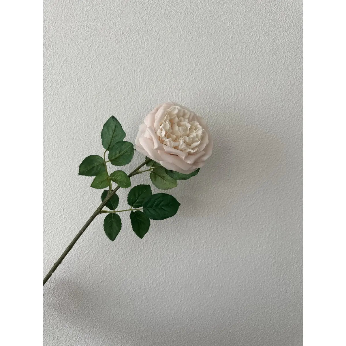 QMF Touch Rose 65cm Hellrosa 2ST QMF Trading
