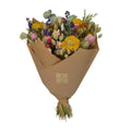 Trockenblumen – Klassischer Blumenstrauß – Mehrfarbig – 4 Blumensträuße – ↕60 cm MEERgroothandel Planten