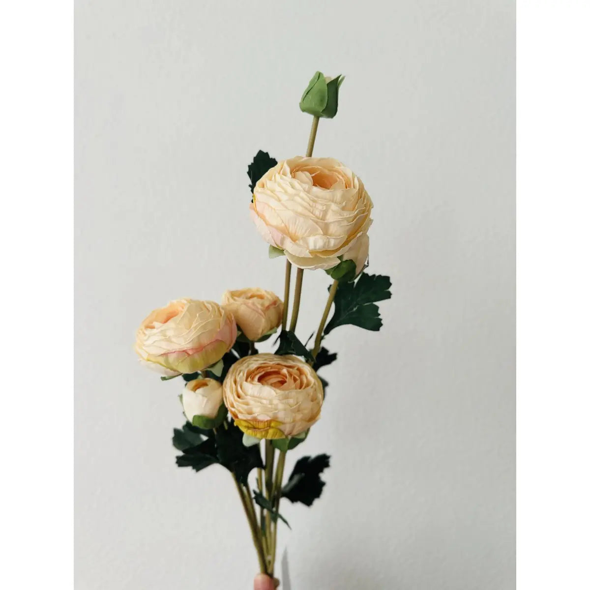 9-stieliger Glimmer-Dekorations-Ranunkel-Kunstblumenstrauß / Länge 55 cm / Champagner QMF Trading